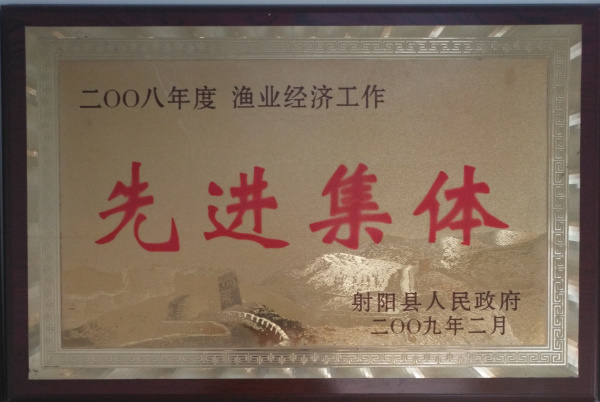 二00八年度先進集體